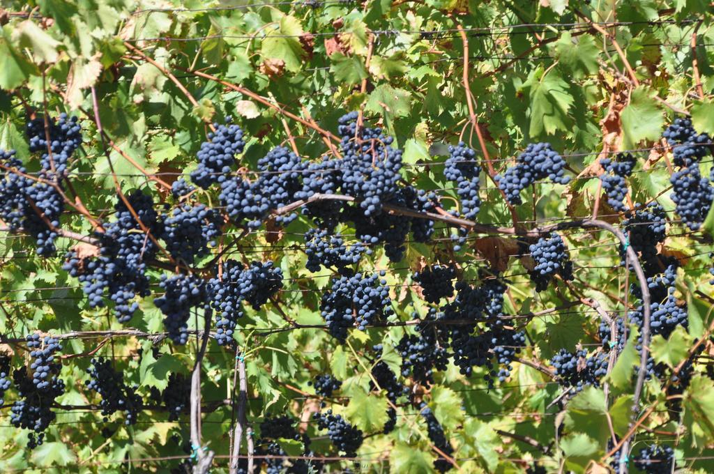 Ausserperskolerhof - Adults Only Fiè Extérieur photo